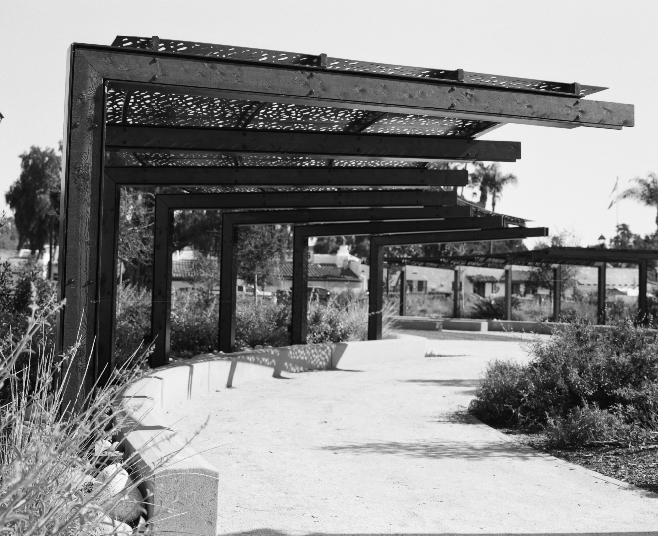 Black and white medium format film photograph of the park in Old Town San Diego.